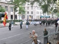 NY_Steubenparade_208