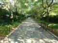 NY_Tag2_114