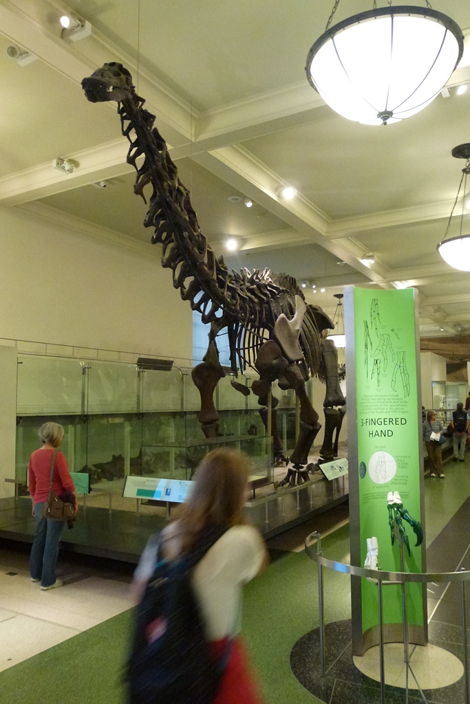 NY_Tag_6_  (101)