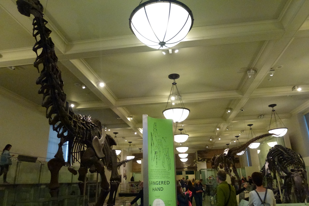 NY_Tag_6_  (102)