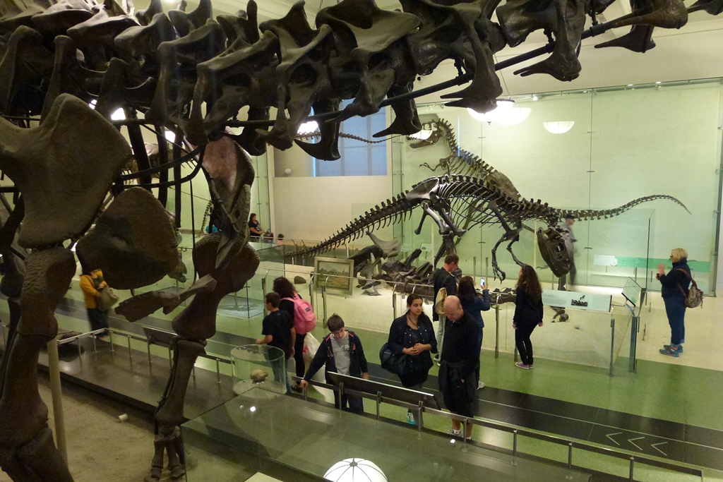 NY_Tag_6_  (103)