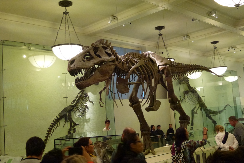 NY_Tag_6_  (104)