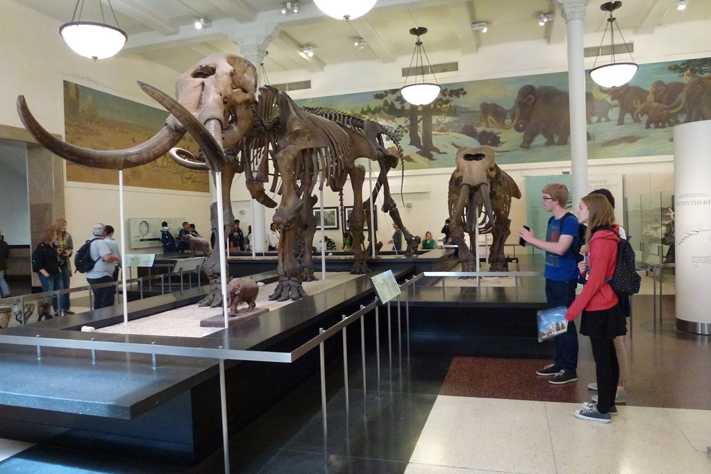 NY_Tag_6_  (105)