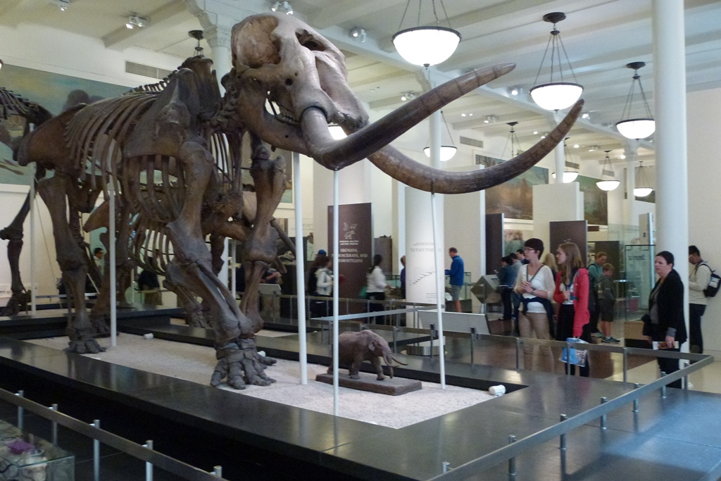 NY_Tag_6_  (106)