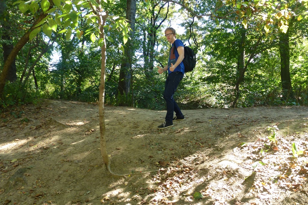NY_Tag_6_  (51)