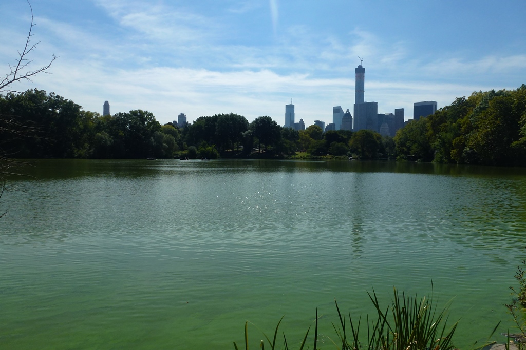 NY_Tag_6_  (53)