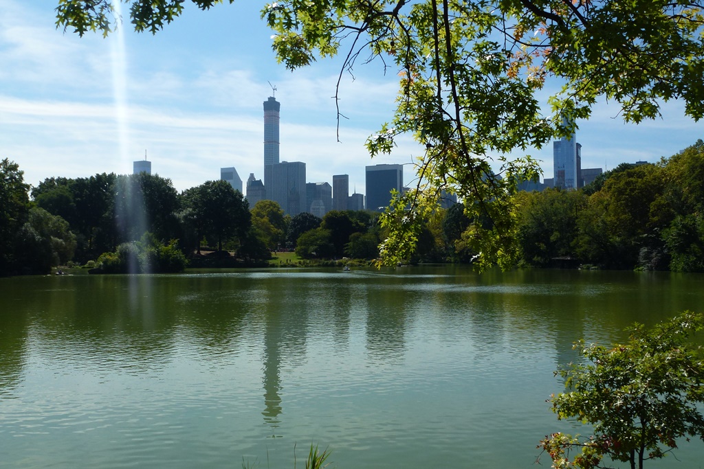 NY_Tag_6_  (60)