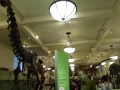 NY_Tag_6_  (102)