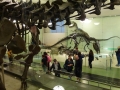 NY_Tag_6_  (103)