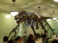 NY_Tag_6_  (104)