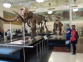 NY_Tag_6_  (105)