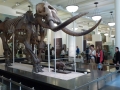 NY_Tag_6_  (106)