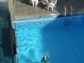 NY_Tag_6_  (135)