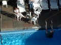 NY_Tag_6_  (136)