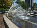 NY_Tag_6_  (25)