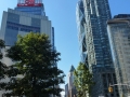 NY_Tag_6_  (33)