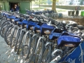 NY_Tag_6_  (35)