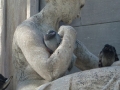 NY_Tag_6_  (37)