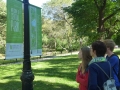 NY_Tag_6_  (39)