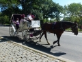 NY_Tag_6_  (41)