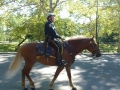 NY_Tag_6_  (48)