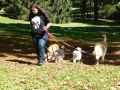 NY_Tag_6_  (49)