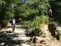 NY_Tag_6_  (50)