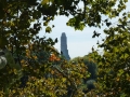 NY_Tag_6_  (52)