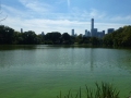 NY_Tag_6_  (53)
