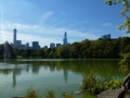 NY_Tag_6_  (63)